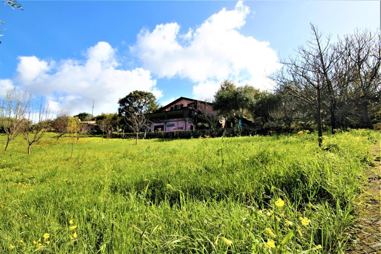 La Tinaia Country House Magomadas Εξωτερικό φωτογραφία